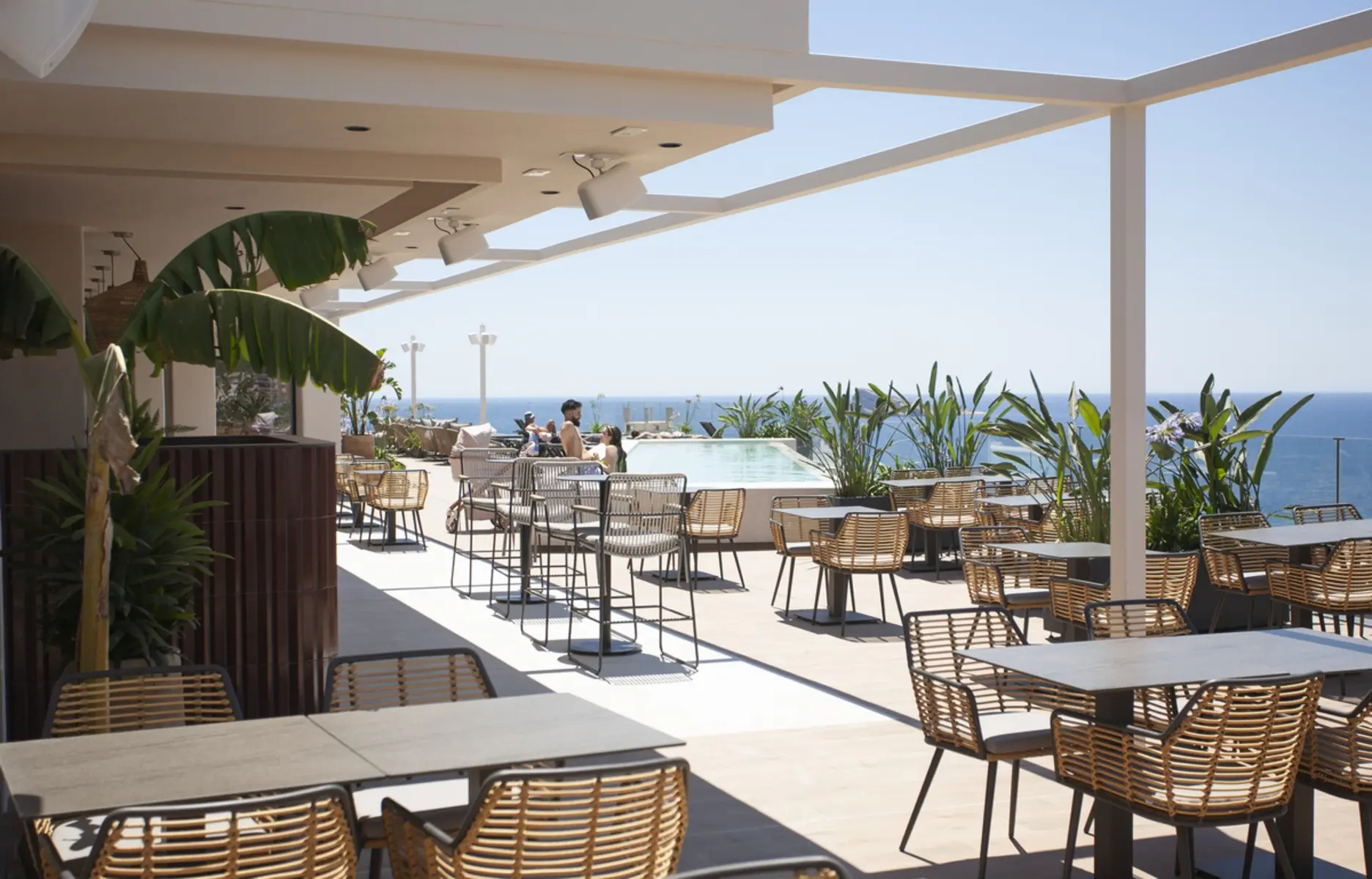 Primavera Park — PRIMAVERA PARK