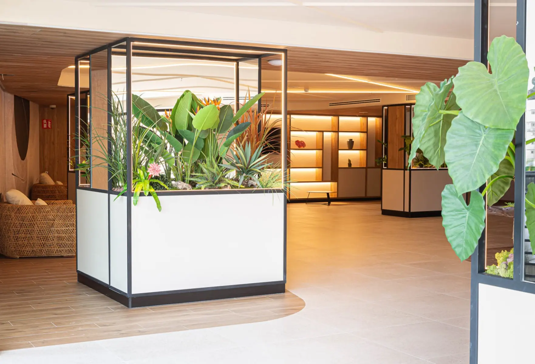 Primavera Park — PRIMAVERA PARK