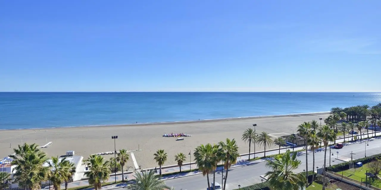 Sol Principe — SOL PRINCIPE