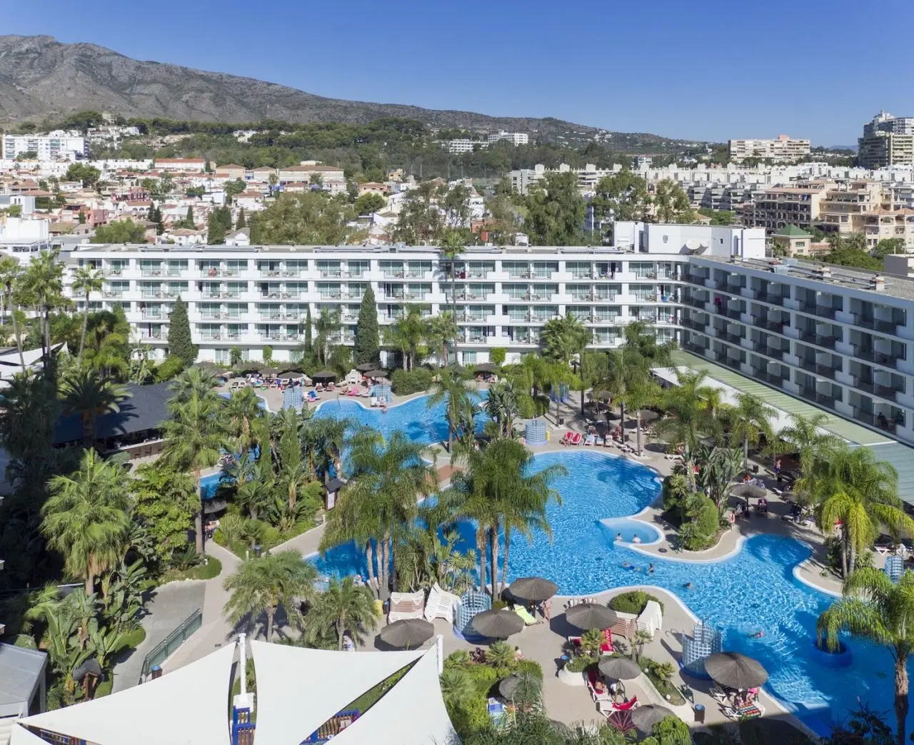 Sol Principe — SOL PRINCIPE