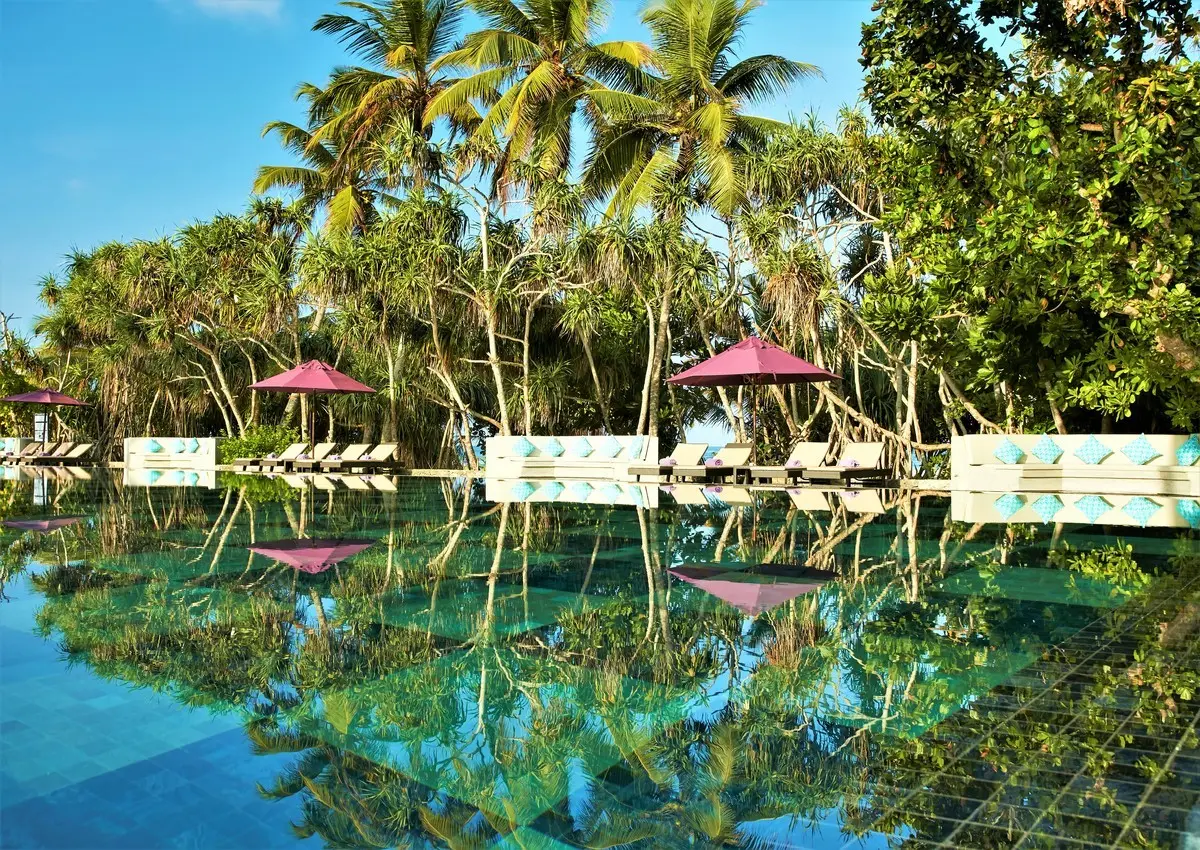 Thaala Bentota — THAALA BENTOTA