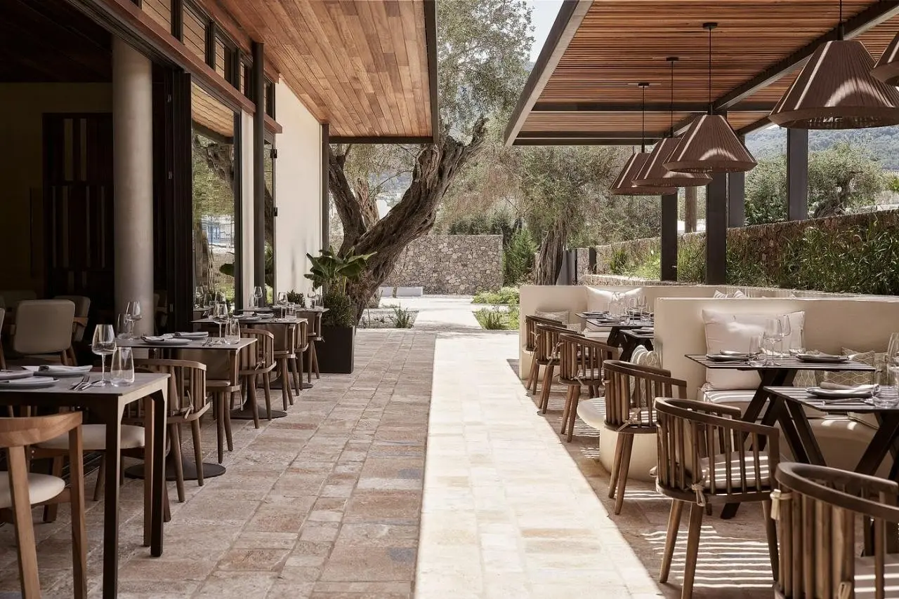 The Olivar Suites — THE OLIVAR SUITES