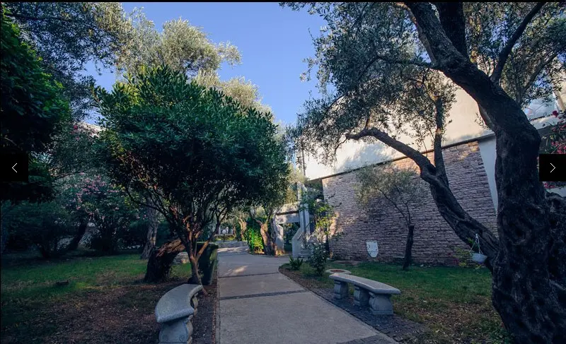 Vile Oliva — HOTEL VILE OLIVA