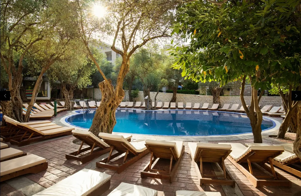 Vile Oliva — HOTEL VILE OLIVA