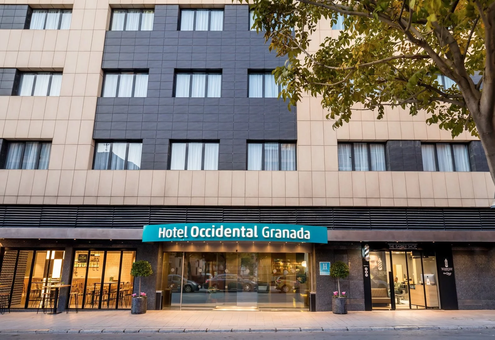 Hotel Occidental Granada