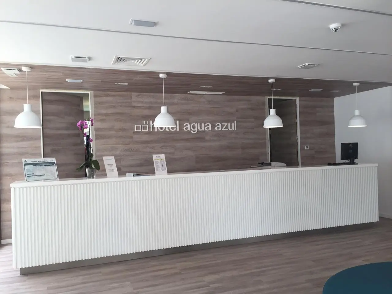 Agua Azul — AGUA AZUL