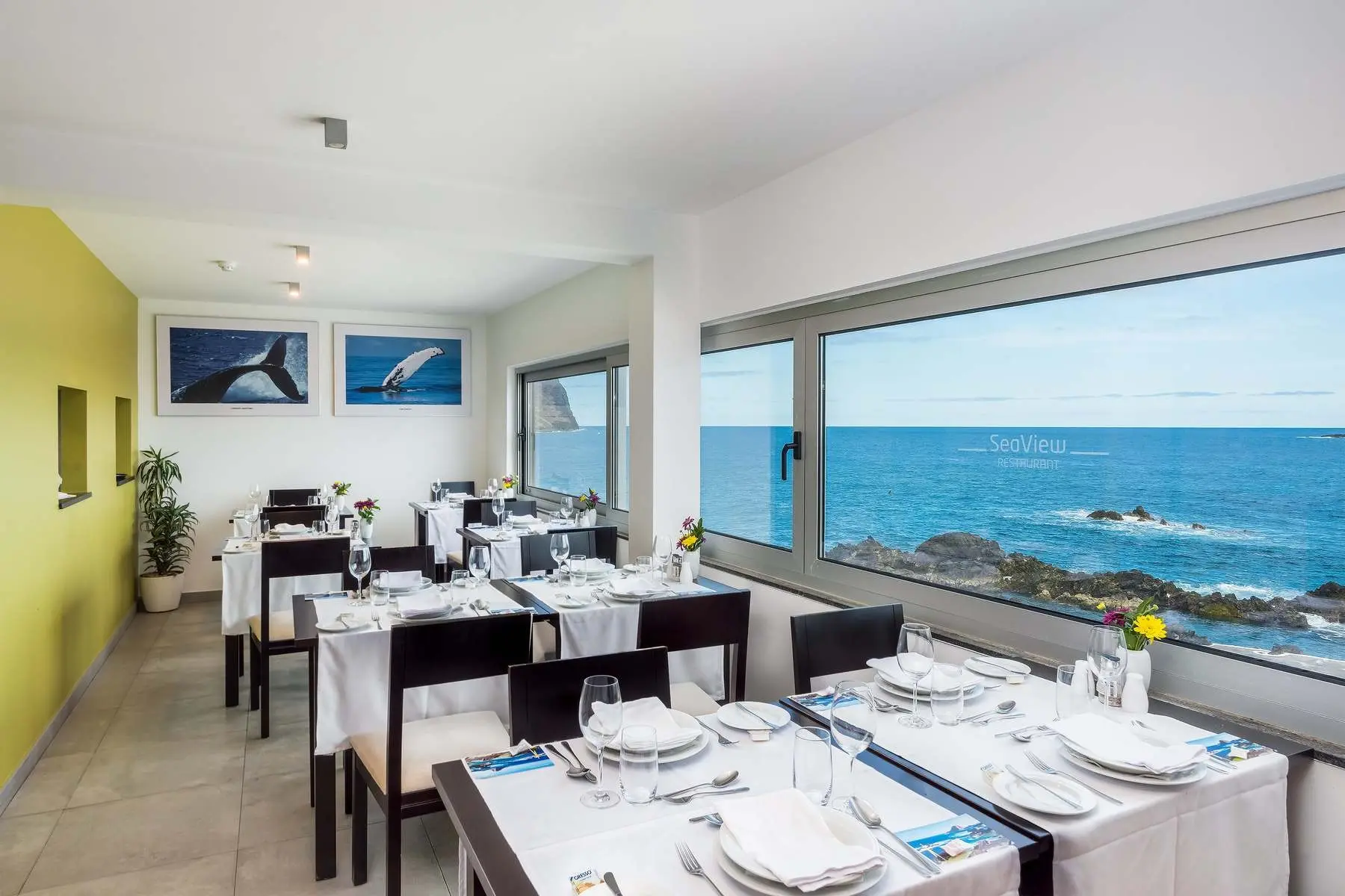 Aqua Natura Madeira — AQUA NATURA MADEIRA