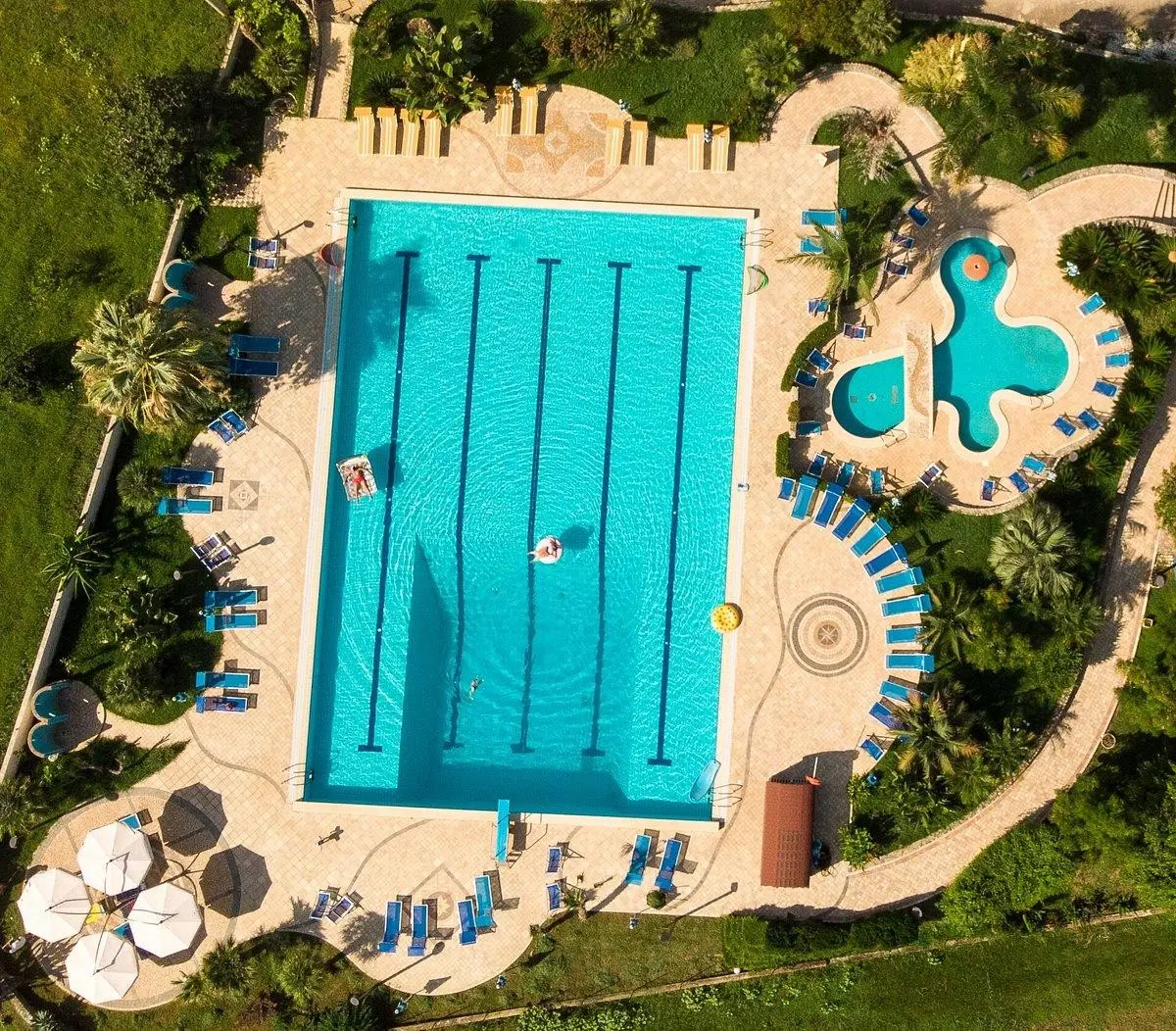 Calabrisella — CALABRISELLA