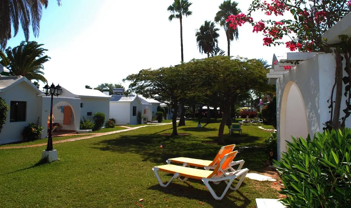 Canary Garden Club — CANARY GARDEN CLUB