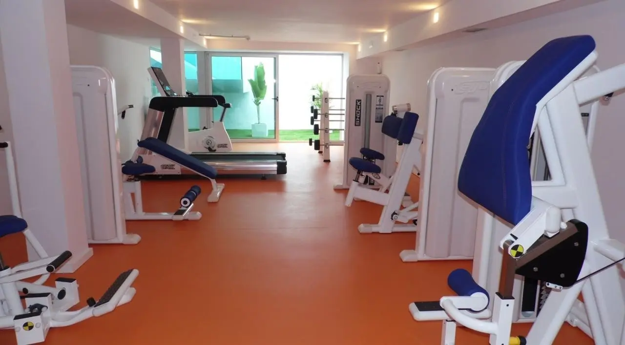 Canary Garden Club — CANARY GARDEN CLUB