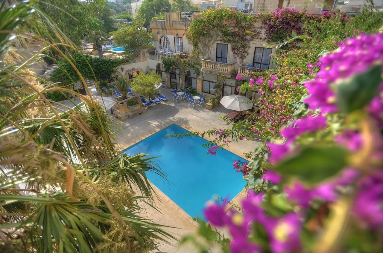 Cornucopia — CORNUCOPIA