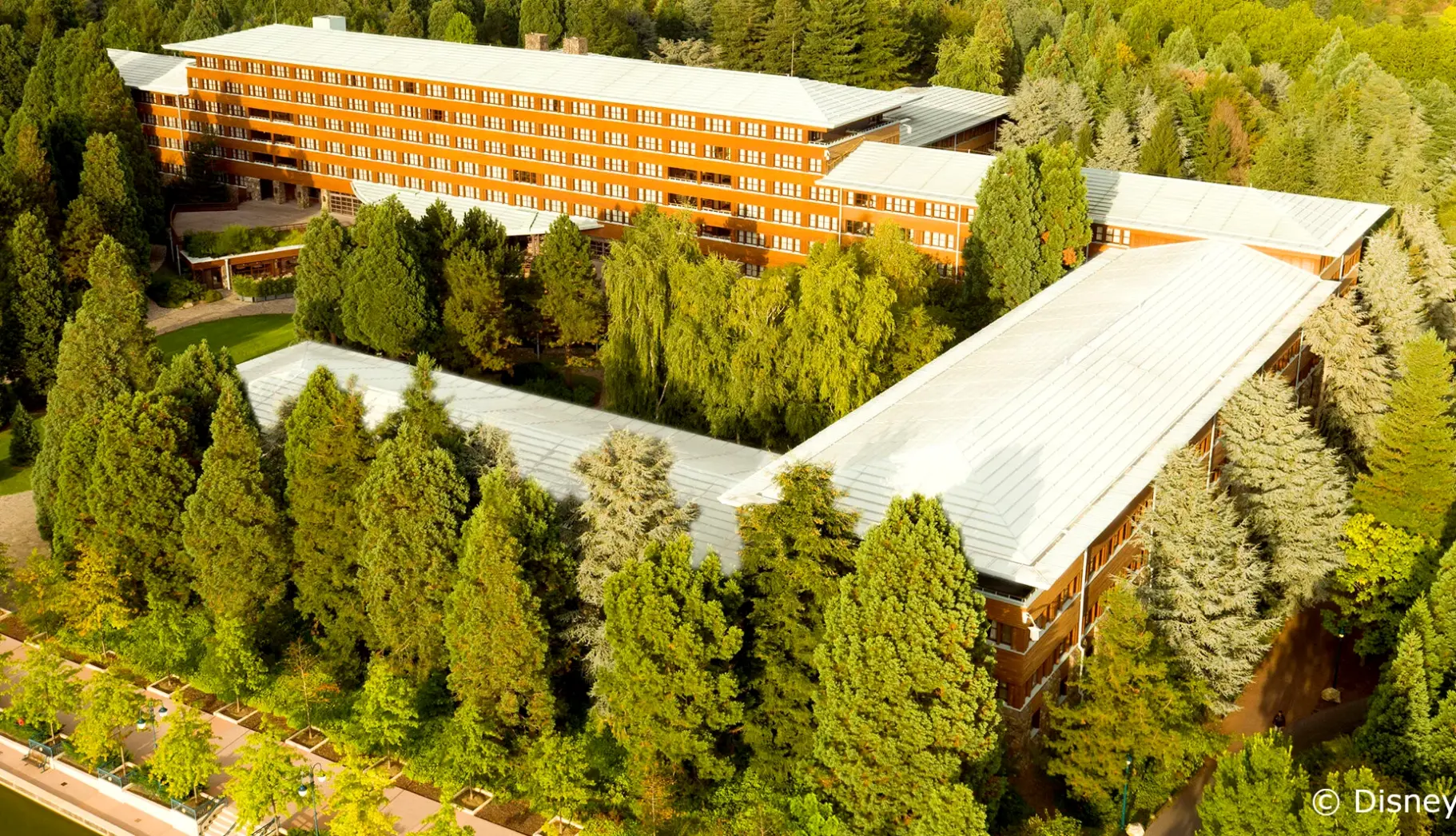 Obiekt hotelu Disney Sequoia Lodge