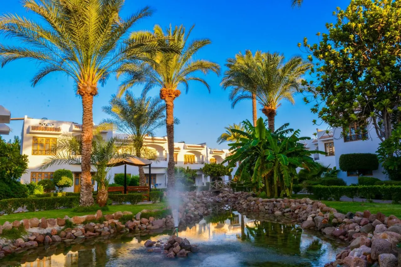 Dive Inn Resort — DIVE INN