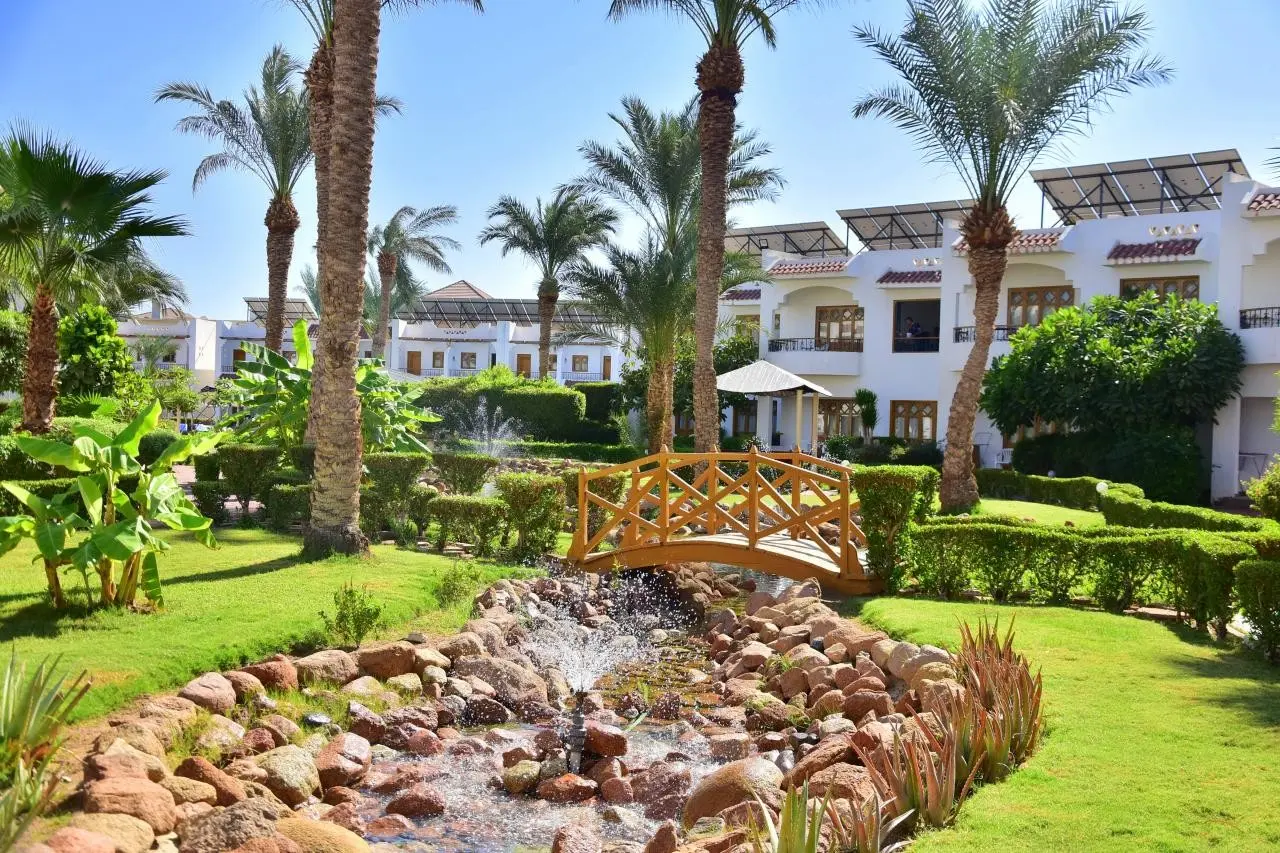 Dive Inn Resort — DIVE INN