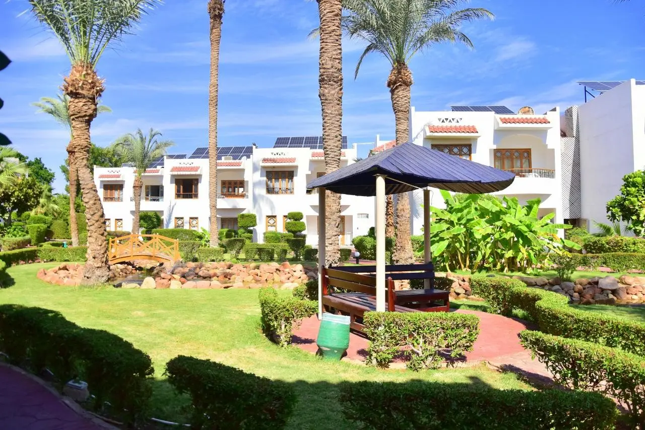 Dive Inn Resort — DIVE INN