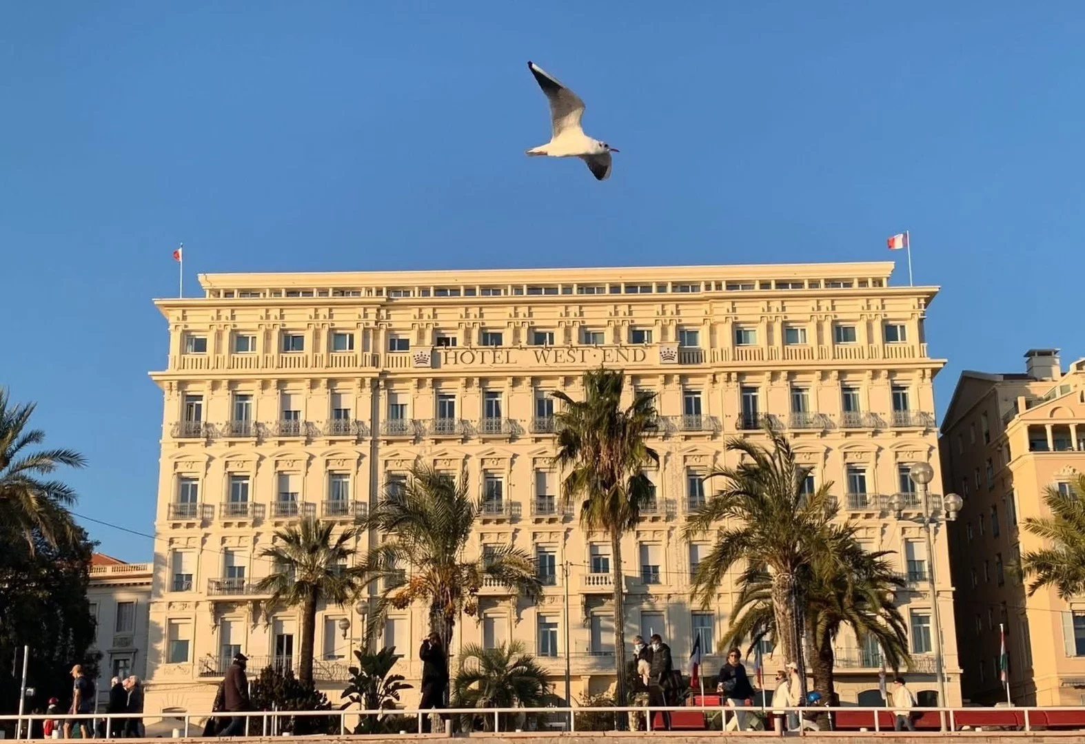 Hotel Hôtel West End