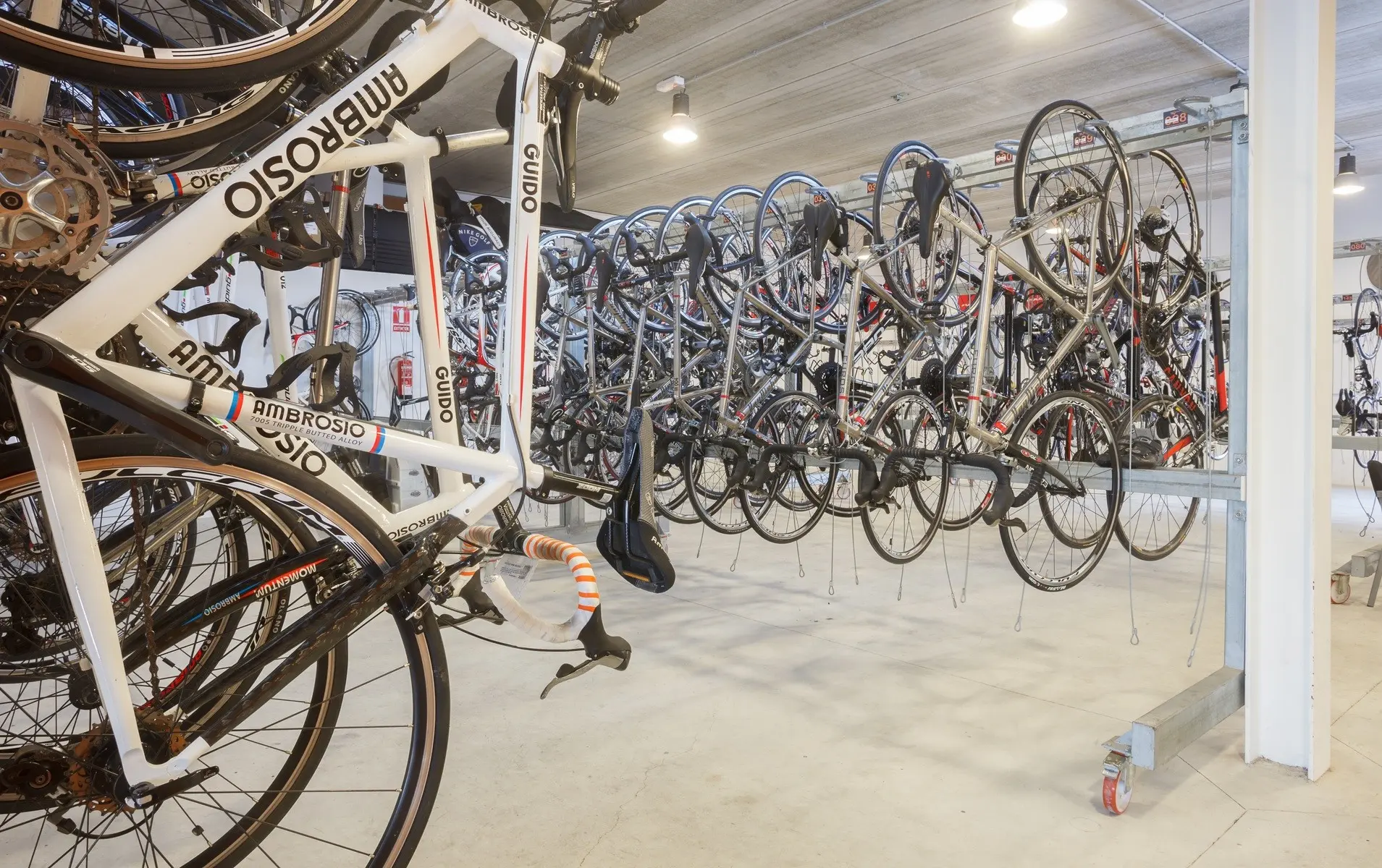 Ivory Playa — IVORY PLAYA