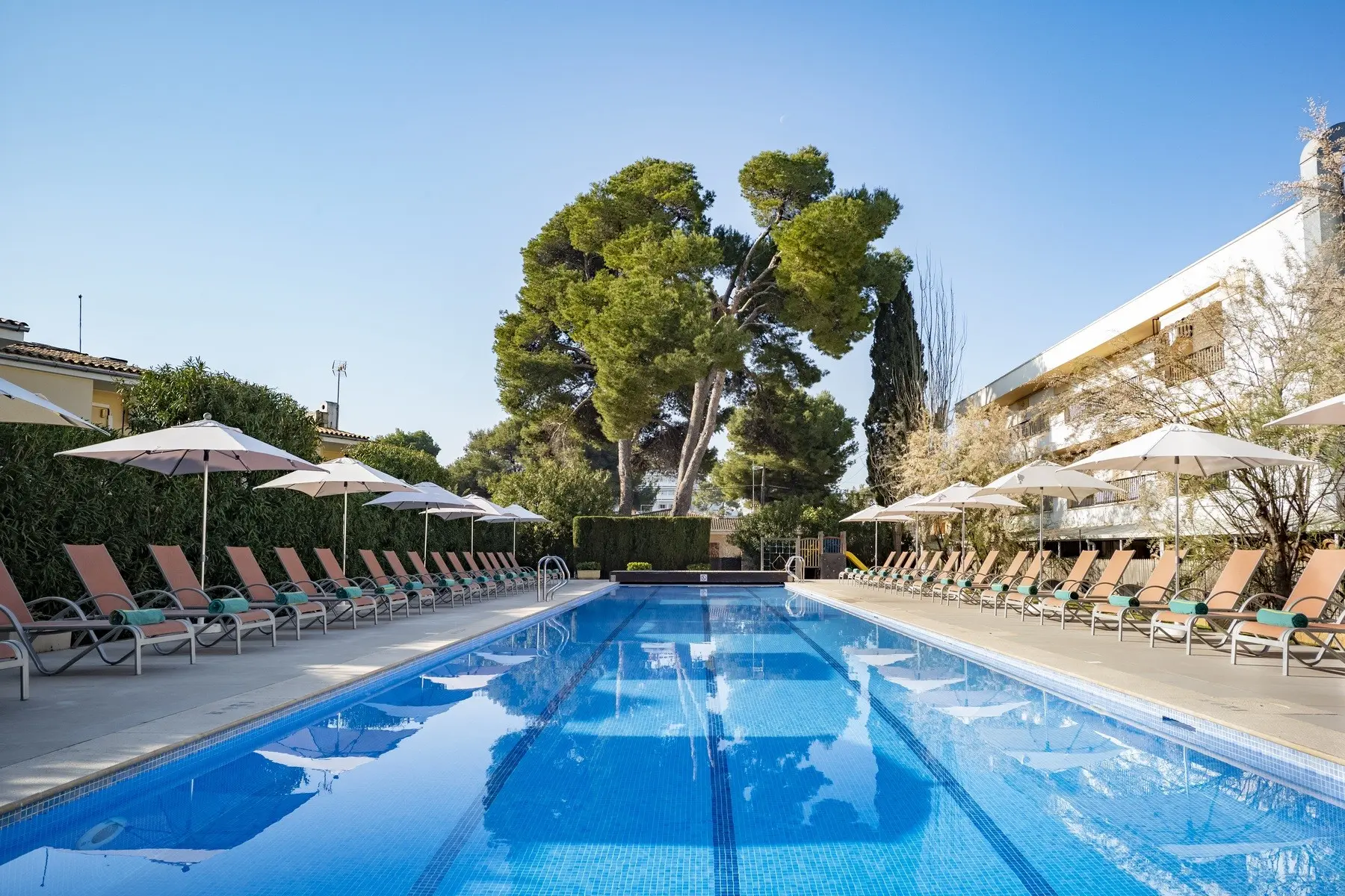 Ivory Playa — IVORY PLAYA