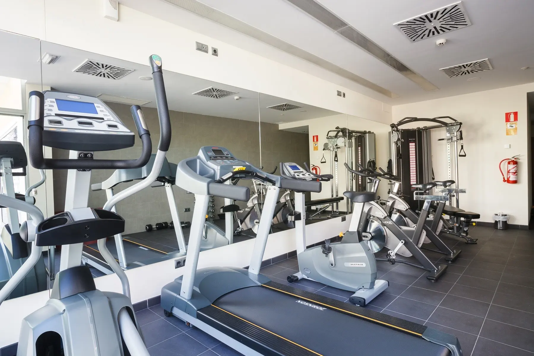 Ivory Playa — IVORY PLAYA