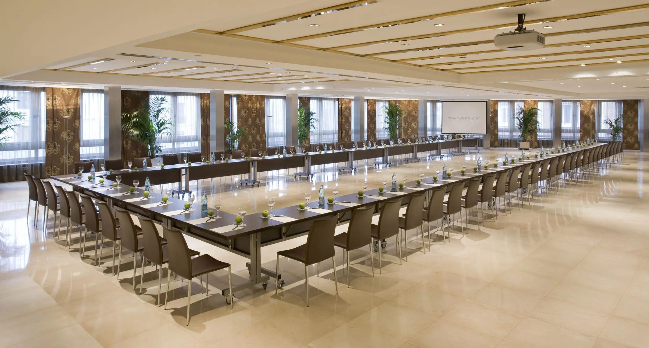 Meliá Madrid Princesa — MELIA MADRID PRINCESA