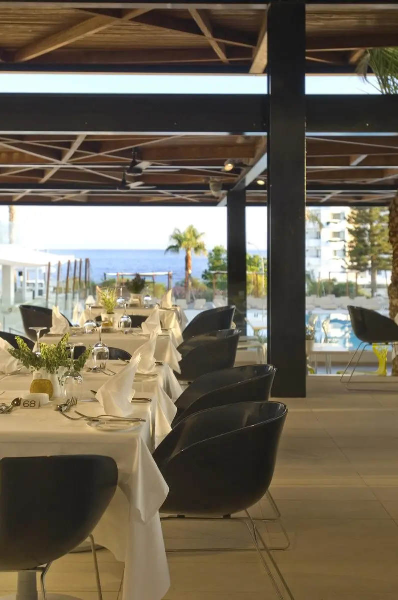 Napa Mermaid — NAPA MERMAID