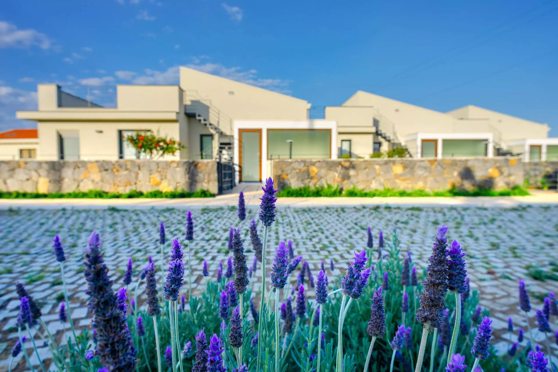Obiekt hotelu Paolimura Resort Apartment & SPA