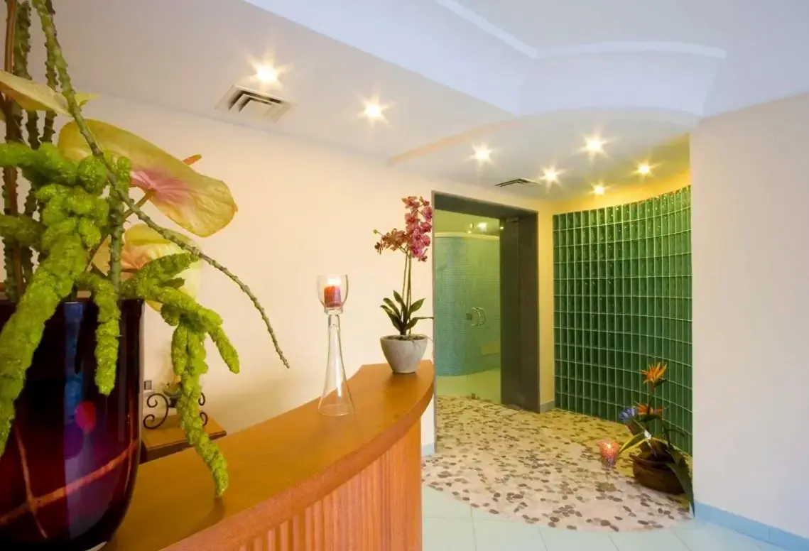 Spa w hotelu Park Hotel Terme Mediterraneo