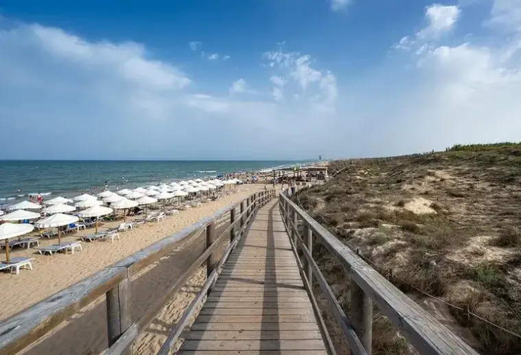 Plaża przy hotelu Poseidon Playas de Guardamar