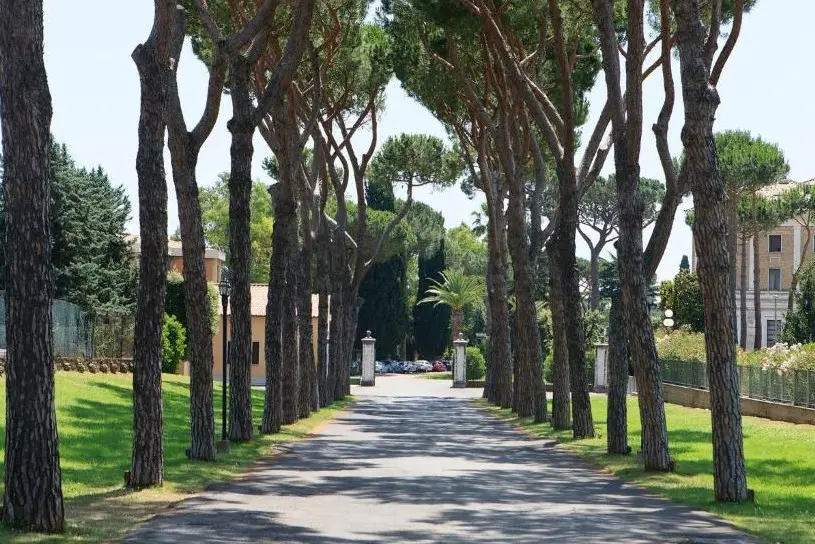 TH Roma Carpegna Palace — TH ROMA - CARPEGNA PALACE