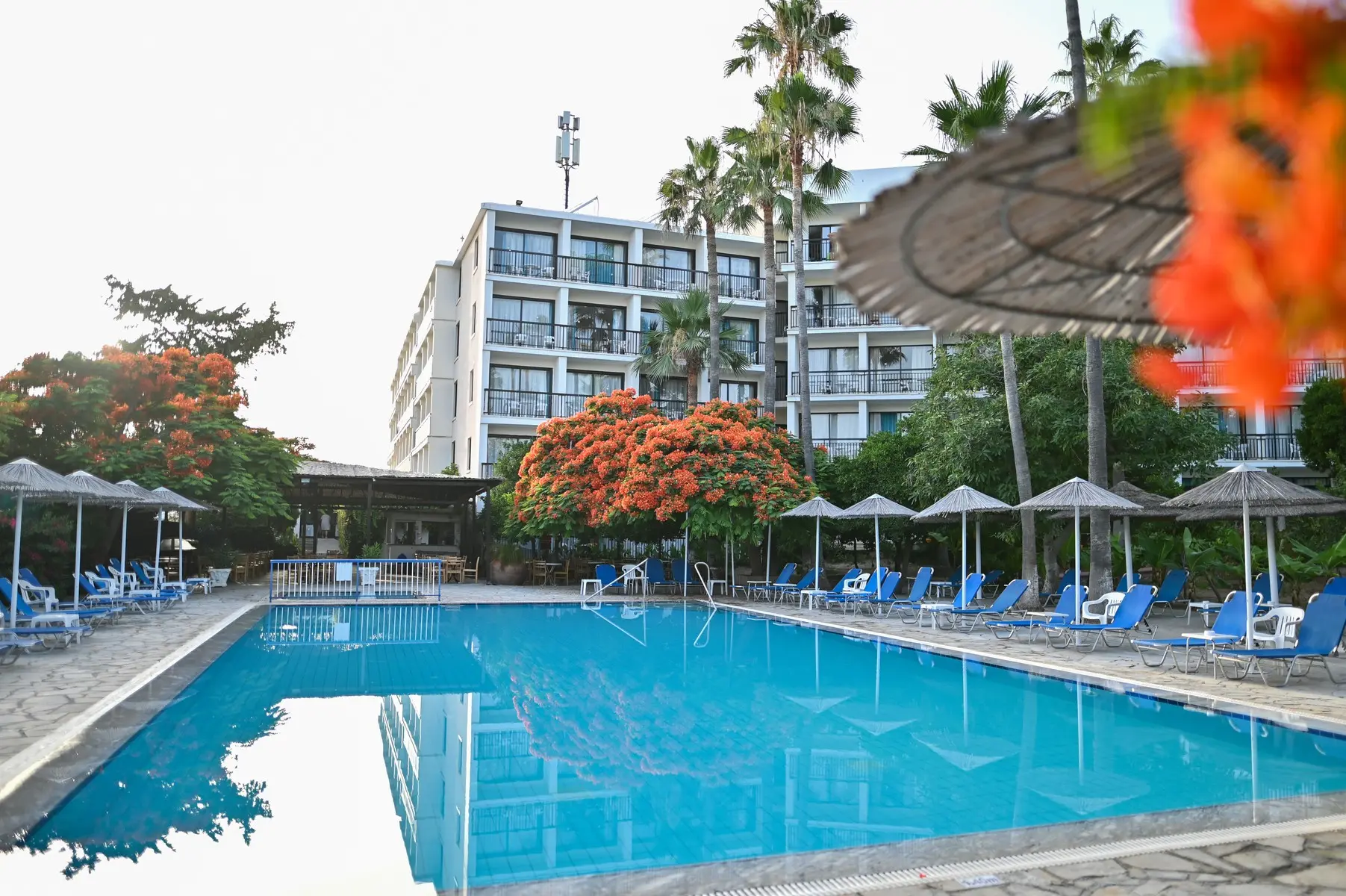 Veronica — VERONICA