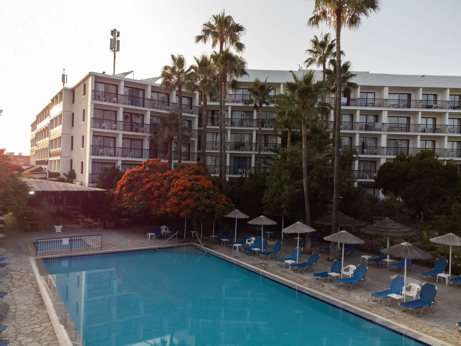 Veronica — VERONICA