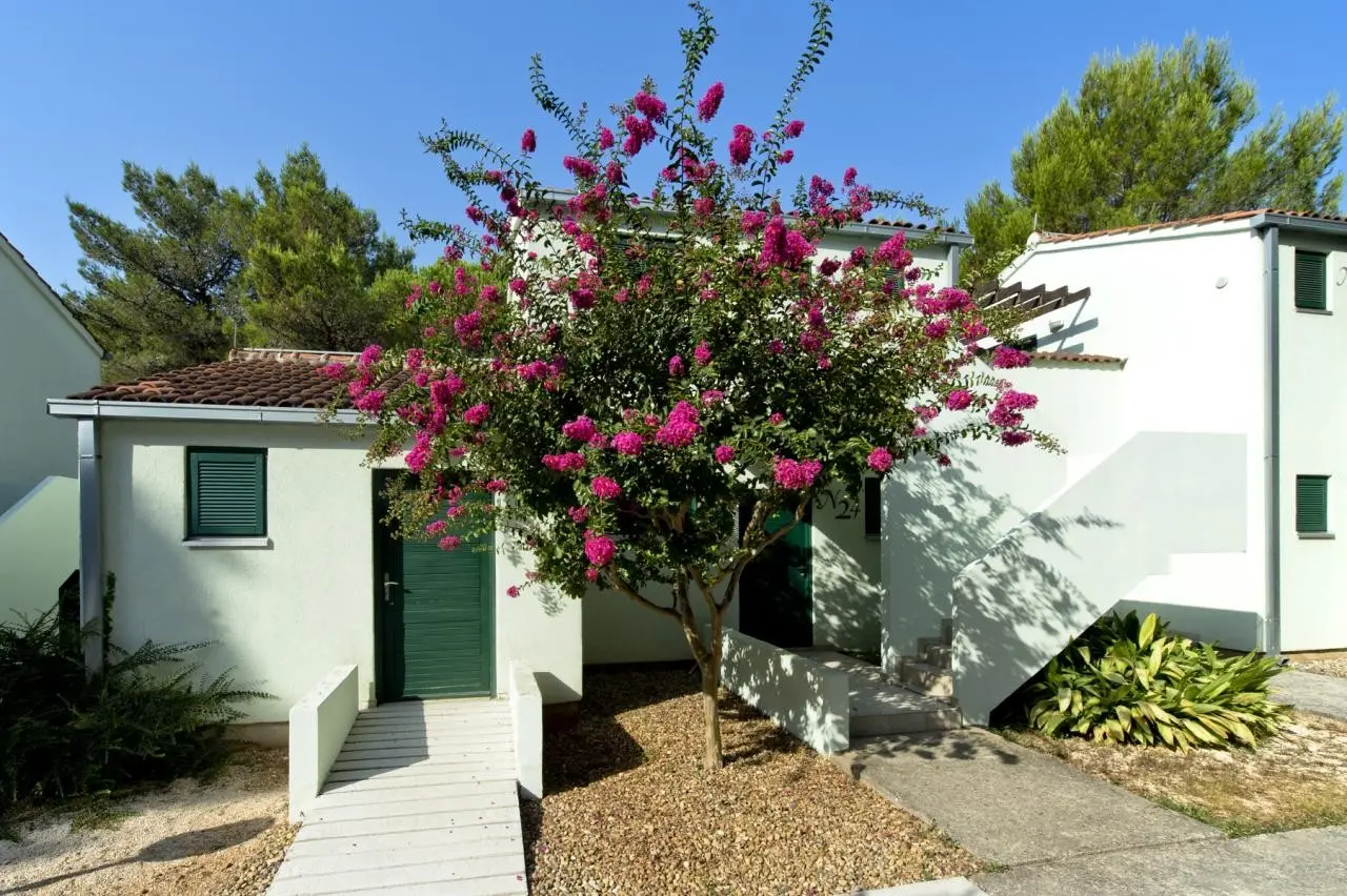 Zaton Holiday Resort – Apartments — ZATON HOLIDAY RESORT - APARTMENTS