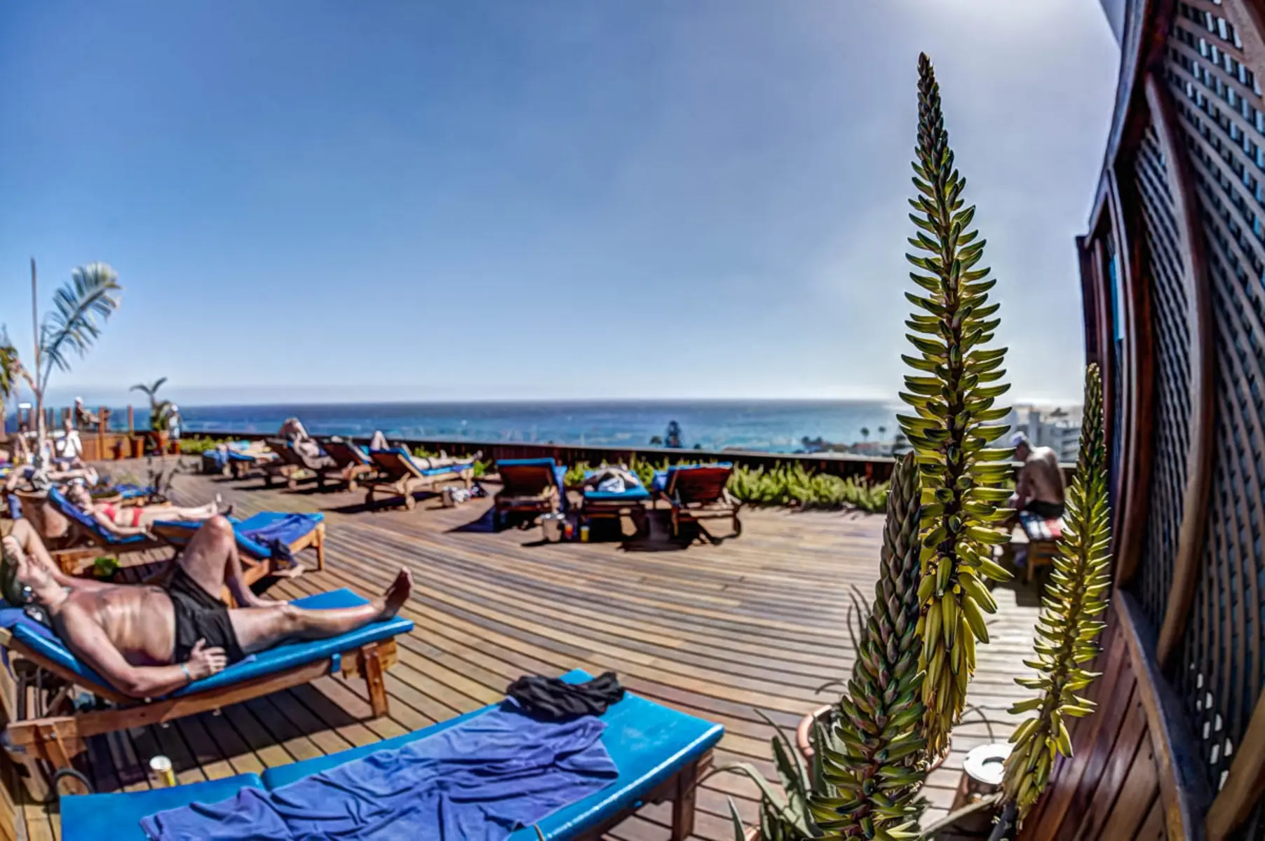 Bull Escorial & Spa — BULL ESCORIAL & SPA