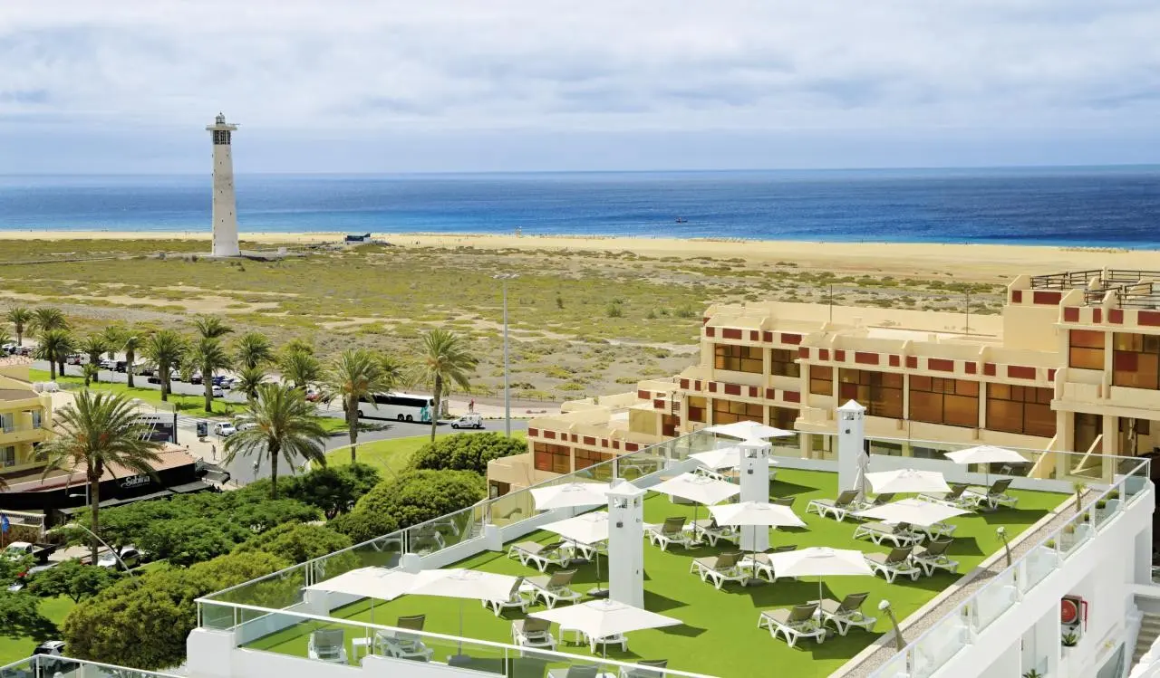 Fergus Cactus Garden — FERGUS CACTUS GARDEN