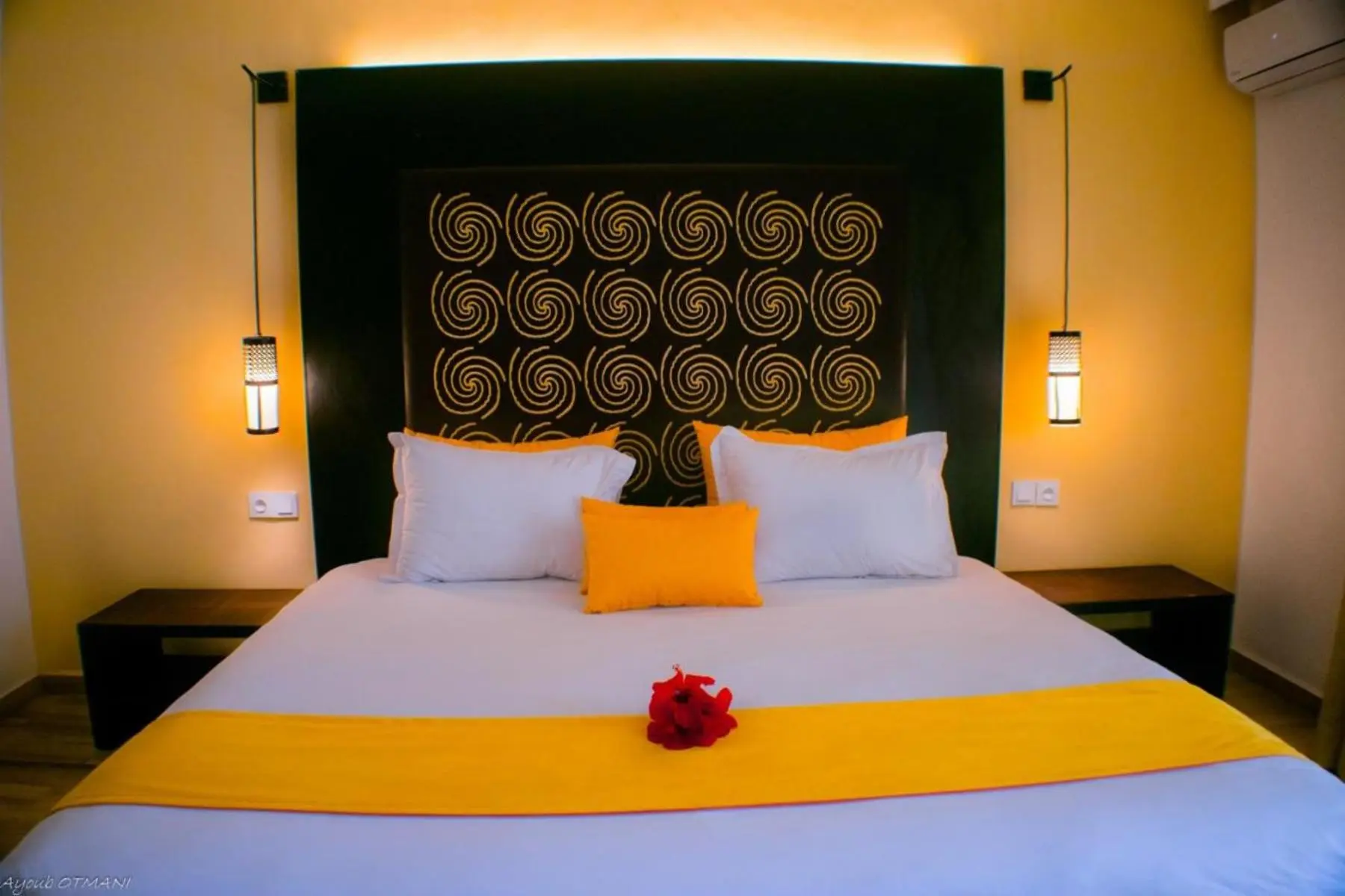 Hamilton Agadir — HAMILTON AGADIR