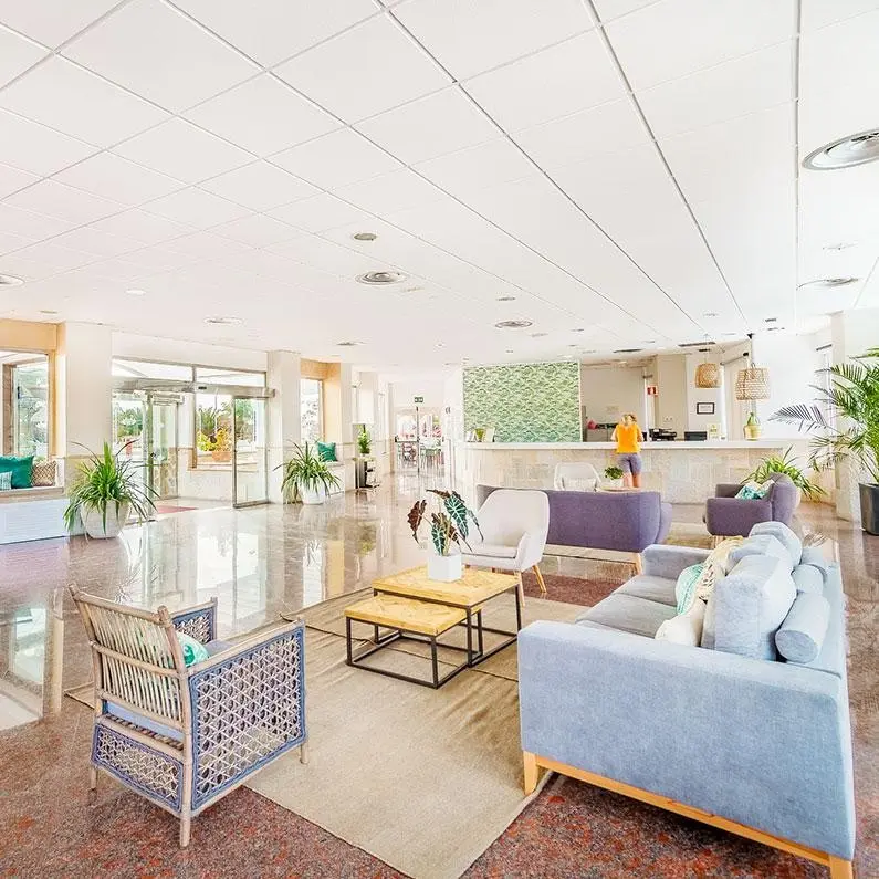 LIVVO Koala Garden — LIVVO KOALA GARDEN