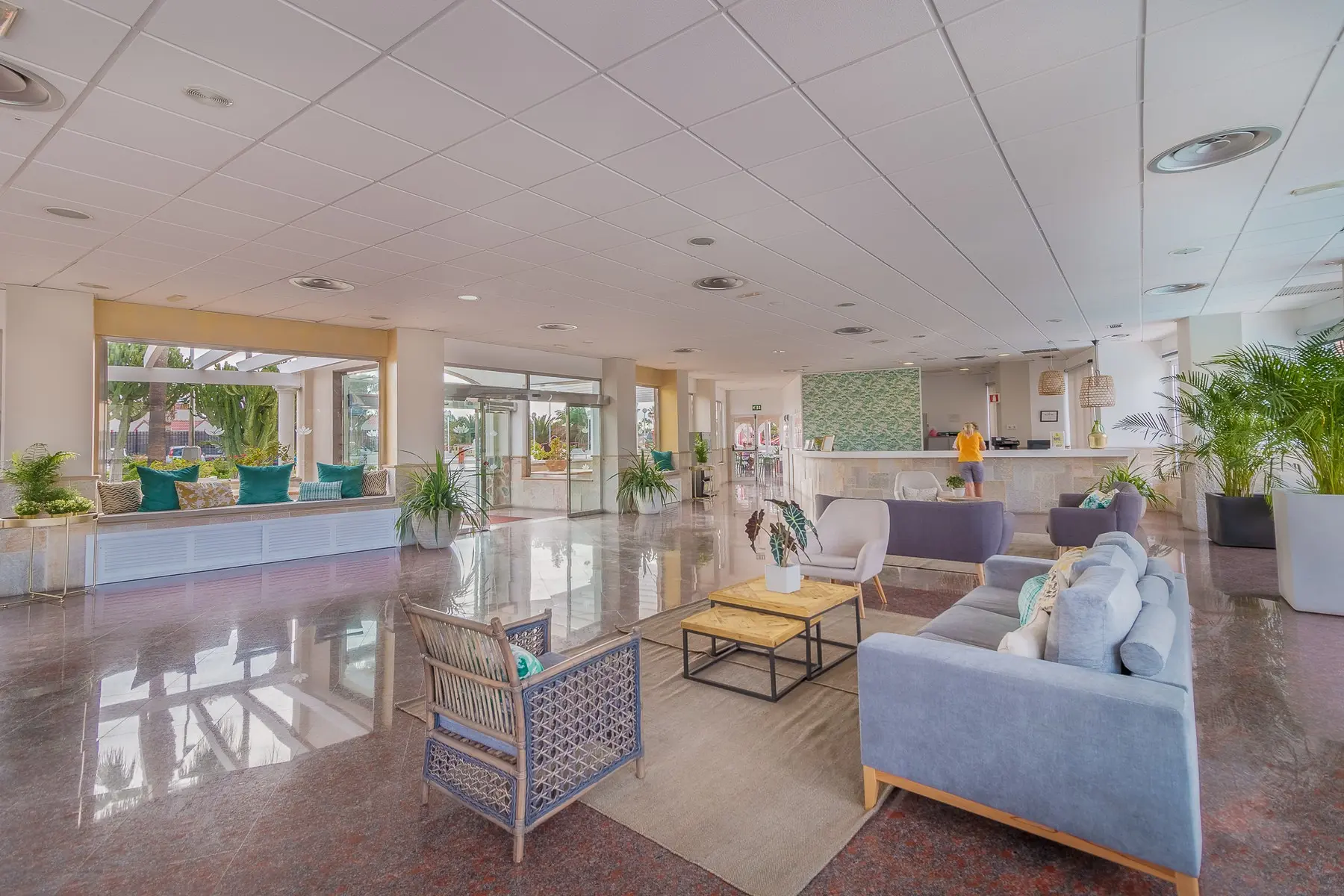 LIVVO Koala Garden — LIVVO KOALA GARDEN