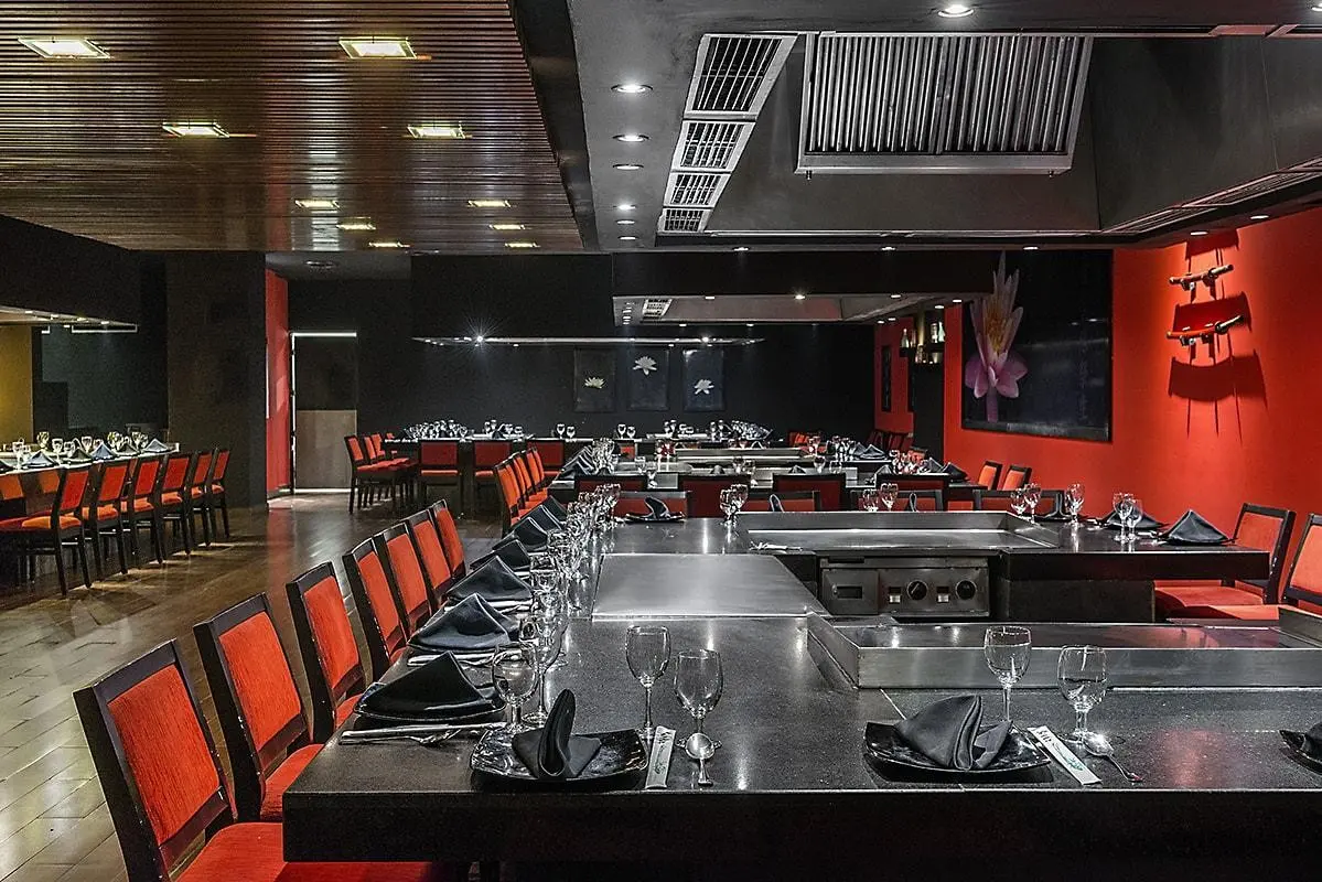 Ocean Coral Turquesa — OCEAN CORAL & TURQUESA