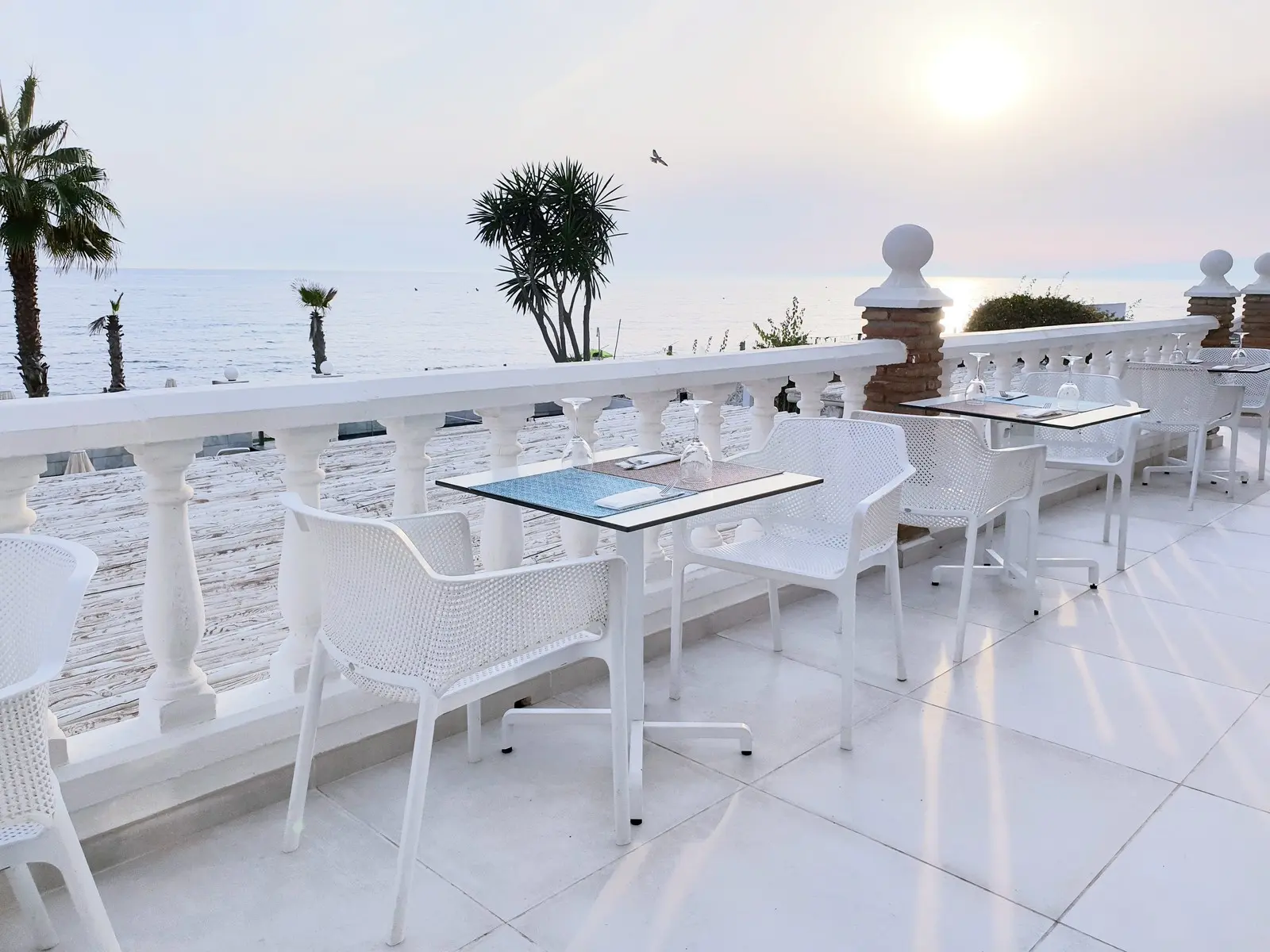 Santa Rosa — SANTA ROSA TORROX