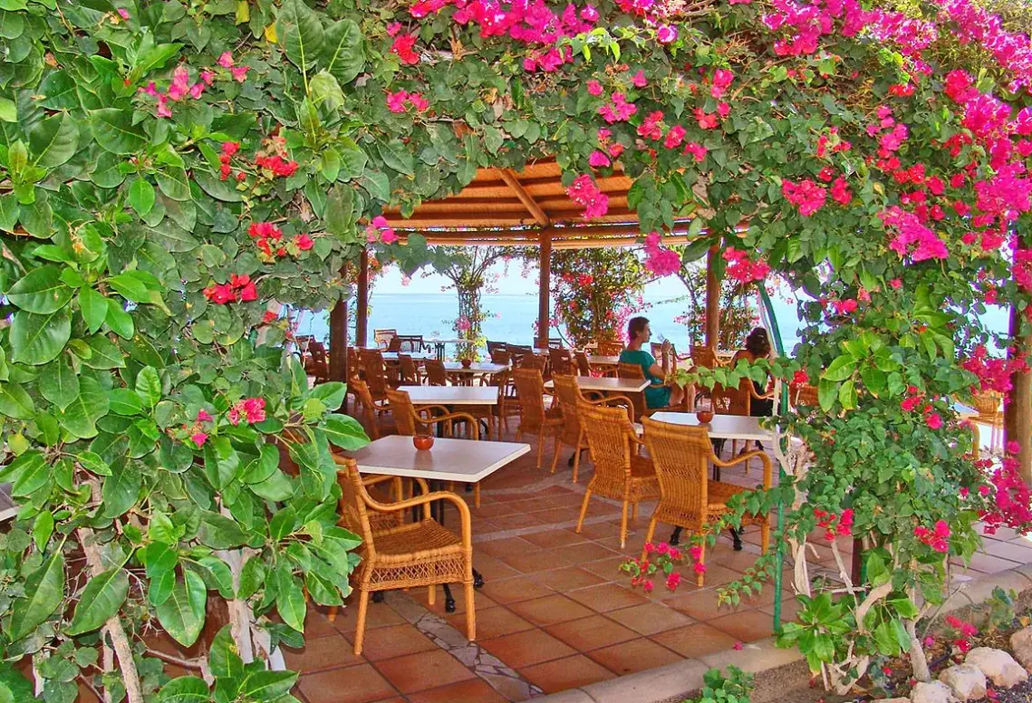 Restauracja i jedzenie w hotelu Sbh Taro Beach
