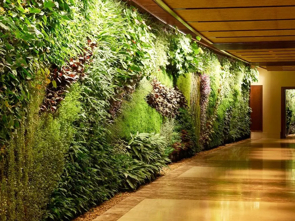 Sofitel Dubai The Palm Resort and Spa — SOFITEL DUBAI THE PALM RESORT & SPA