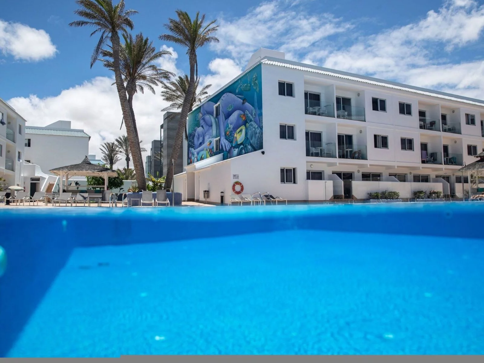 Hotel Surfing Colors