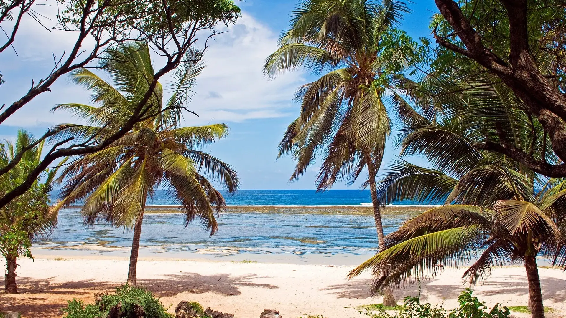 Hotel Afryka Dzika + Hotel Neptune Beach