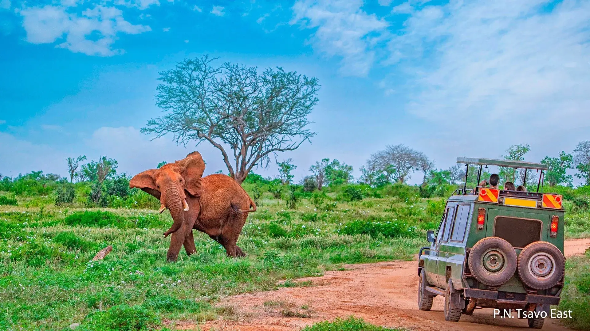 Hotel Afryka Dzika + Travellers Beach Hotel & Club