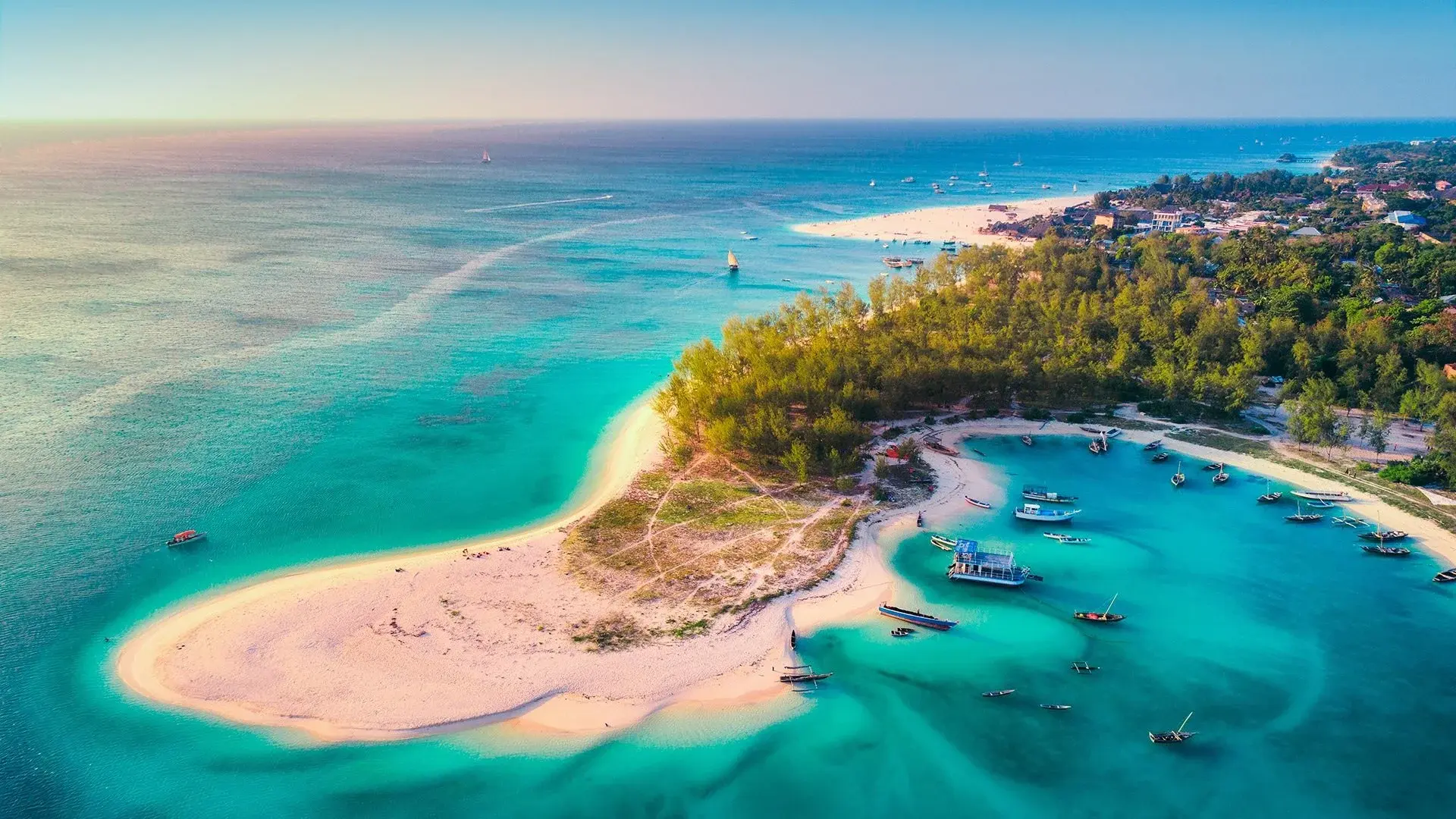 Wycieczka Ahoj Zanzibar! Rejs i safari w Parku Narodowym Saadani