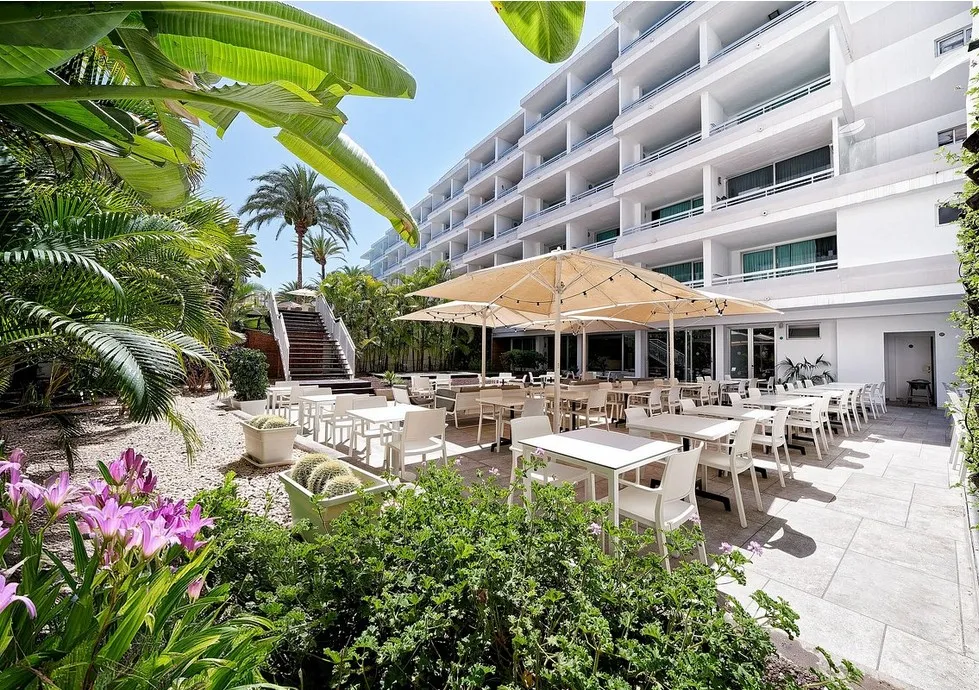 Akeah Maspalomas Broncemar — AKEAH MASPALOMAS BRONCEMAR