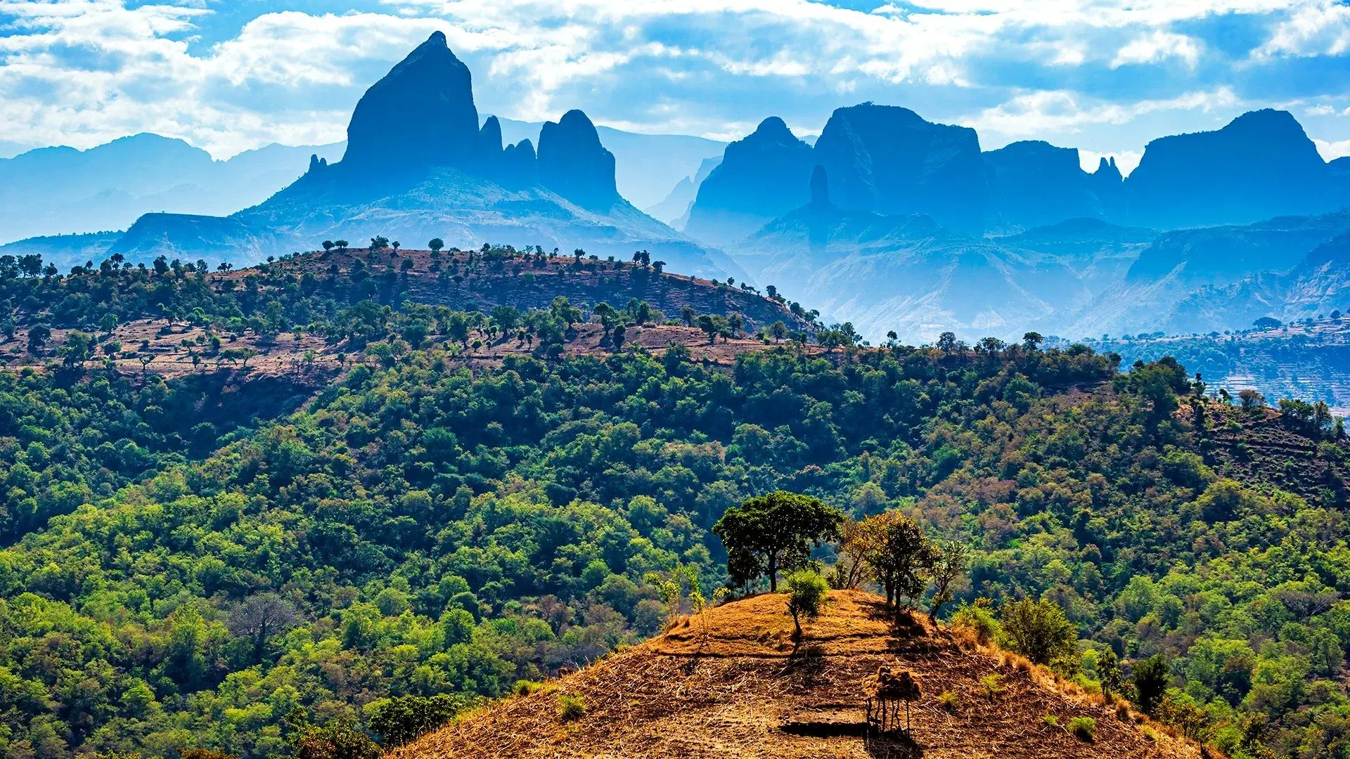 Wycieczka Aktywna Etiopia: od Gór Simien do depresji Danakil