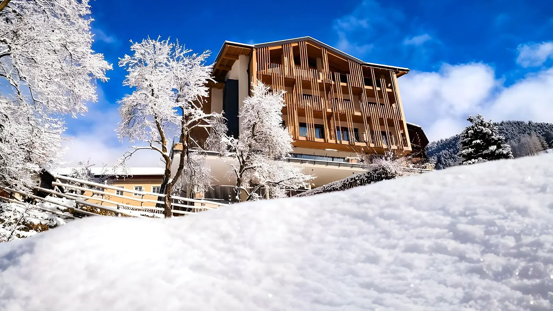 Hotel Alpinhotel Vajolet