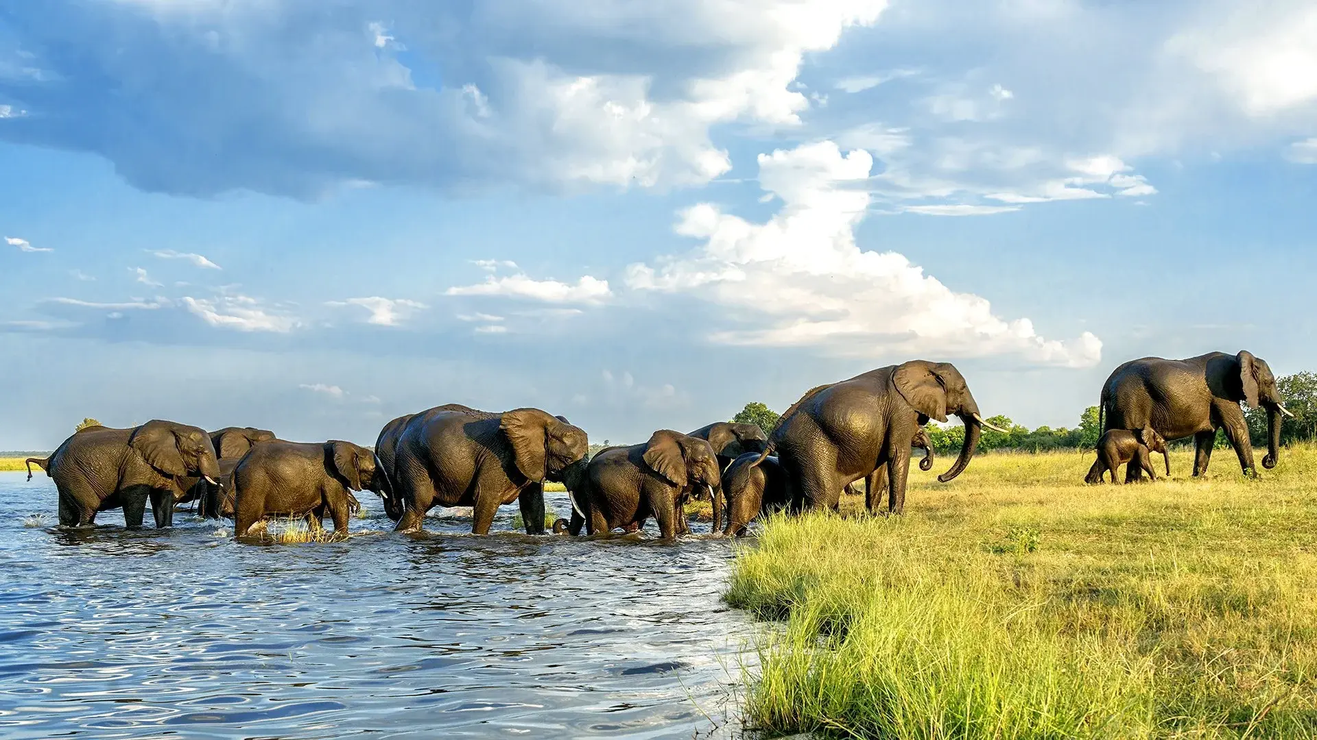 Wycieczka Bez trwogi po bezdrożach: Botswana i Zimbabwe (self-drive)
