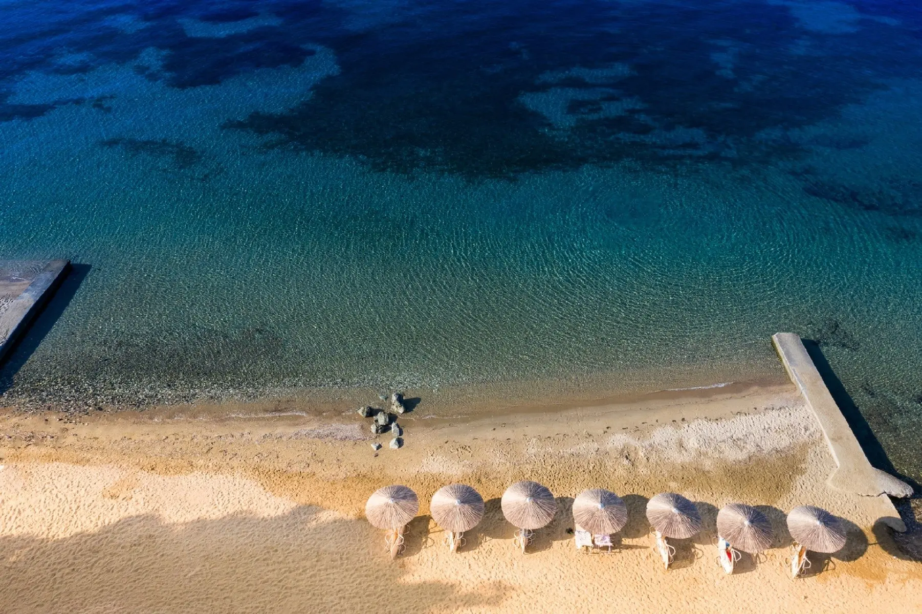 Bianco Olympico — BIANCO OLYMPICO